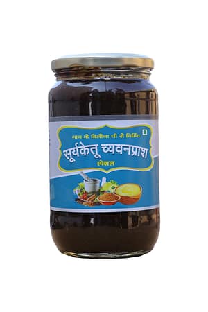 Suryaketu Dauble Special Chyawanprash 500g