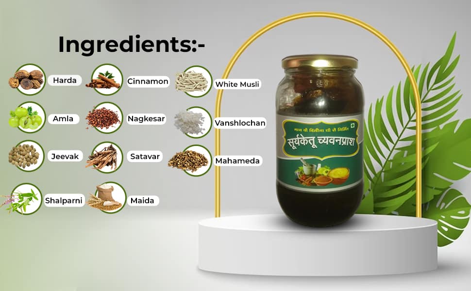 Suryaketu Chyawanprash 1Kg - Image 3