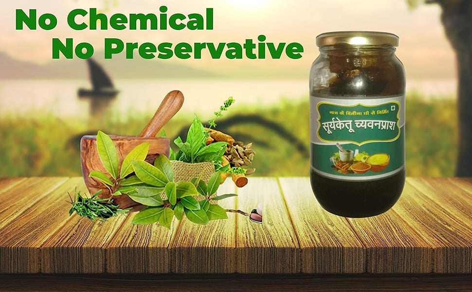 Suryaketu Chyawanprash 1Kg - Image 2